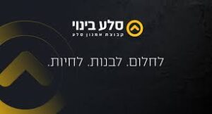 סלע בינוי